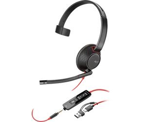Poly Blackwire 5210 Monaural USB-C Headset +3.5mm Plug +USB-C/A Adapter (Bulk) 8X230A6